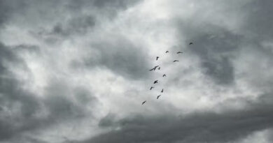 IMD अलर्ट: देश में बदला मौसम का मिजाज, कई राज्यों में बढ़ेगी गर्मी; उत्तर से मध्य भारत में 8°C तक बढ़ेगा तापमान