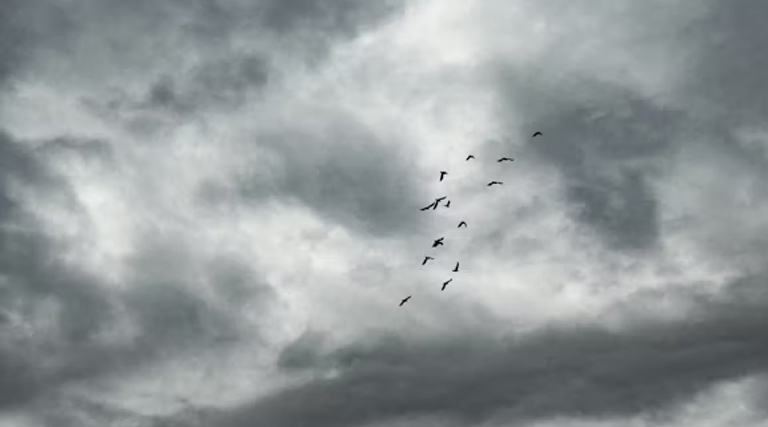 IMD अलर्ट: देश में बदला मौसम का मिजाज, कई राज्यों में बढ़ेगी गर्मी; उत्तर से मध्य भारत में 8°C तक बढ़ेगा तापमान