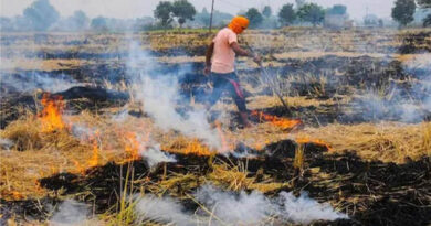 मध्यप्रदेश: फसल अवशेष जलाना पड़ा भारी, चार किसानों पर लगाया गया ₹2500-₹2500 का जुर्माना