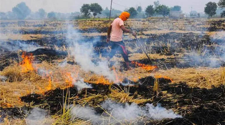 मध्यप्रदेश: फसल अवशेष जलाना पड़ा भारी, चार किसानों पर लगाया गया ₹2500-₹2500 का जुर्माना