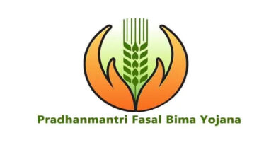 पीएम फसल बीमा योजना: राजस्थान में पोस्ट हार्वेस्ट क्लेम में देरी पर सख्ती, बीमा कंपनियों को सख्त निर्देश