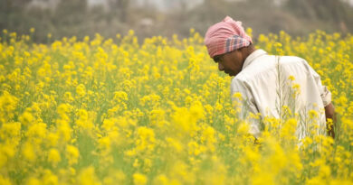रायसेन महोत्सव में छाई PZTM तकनीक, जानिए क्या है ये और किसानों के लिए क्यों है फायदेमंद