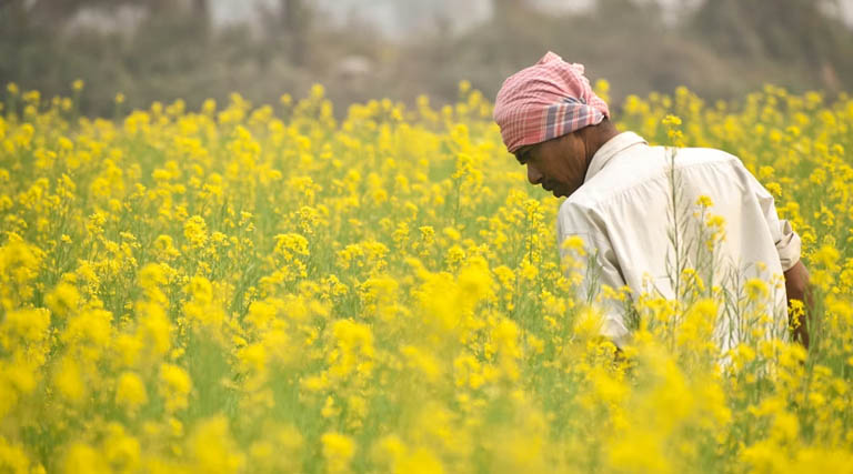 रायसेन महोत्सव में छाई PZTM तकनीक, जानिए क्या है ये और किसानों के लिए क्यों है फायदेमंद