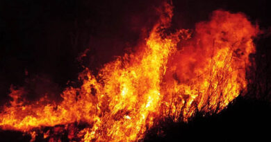 राजगढ़: खेत में नरवाई जलाने के मामले में प्रकरण दर्ज जांच शुरू