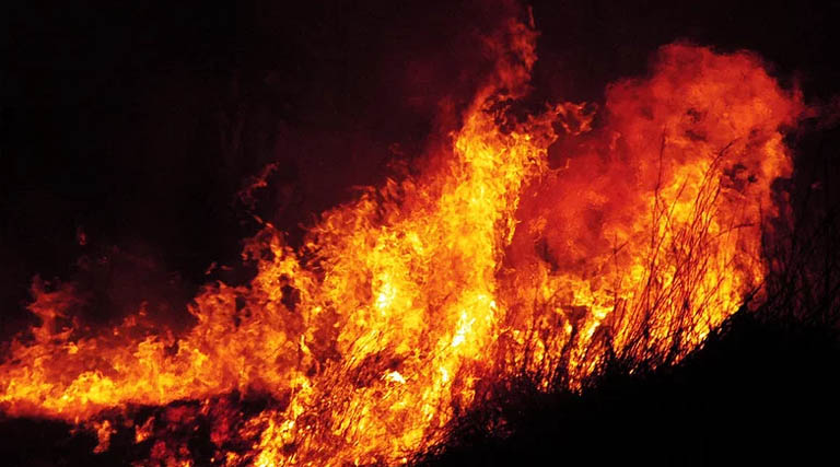 राजगढ़: खेत में नरवाई जलाने के मामले में प्रकरण दर्ज जांच शुरू