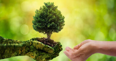 राज्य स्तरीय वार्षिक जैव-विविधता पुरस्कार-2025 : प्रविष्टियों के आमंत्रण की अंतिम तिथि 20 अप्रैल