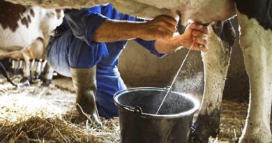 खरगोन में दुग्ध उत्पादक संस्थाओं का तीन दिवसीय प्रशिक्षण सम्पन्न