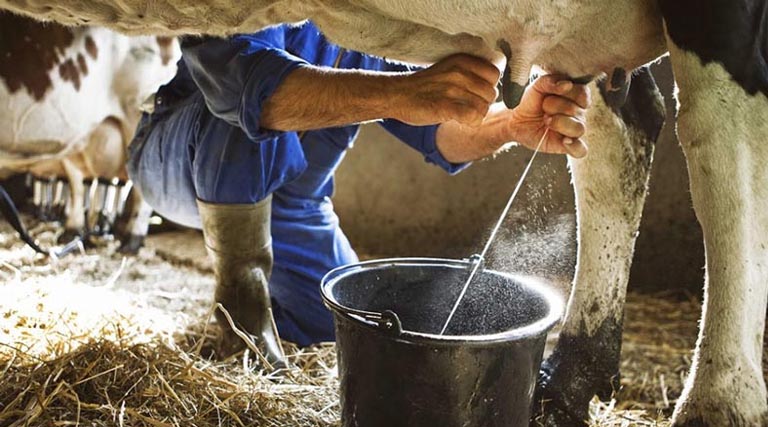 खरगोन में दुग्ध उत्पादक संस्थाओं का तीन दिवसीय प्रशिक्षण सम्पन्न