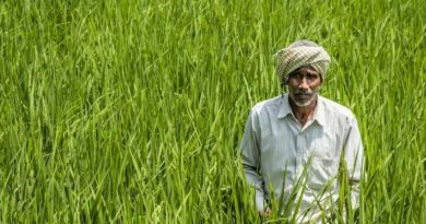 Farmer ID को लेकर बड़ा अपडेट: अब बिना आईडी के नहीं मिलेगा सरकारी स्कीम का लाभ? जानें क्या है सच  