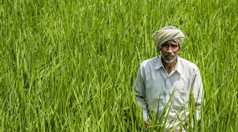 Farmer ID को लेकर बड़ा अपडेट: अब बिना आईडी के नहीं मिलेगा सरकारी स्कीम का लाभ? जानें क्या है सच
