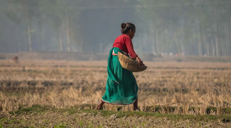 महिला किसान लक्ष्मीबाई का कमाल! 3000 स्क्वेयर फीट में शुरू की गुलाब की खेती, अब हर महीने कमा रहीं ₹4 लाख