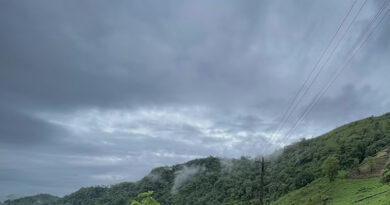 MP Weather Today: प्रदेश में बढ़ा तापमान, शाजापुर में 43°C तक पहुंचा पारा; कई जिलों में लू का अलर्ट