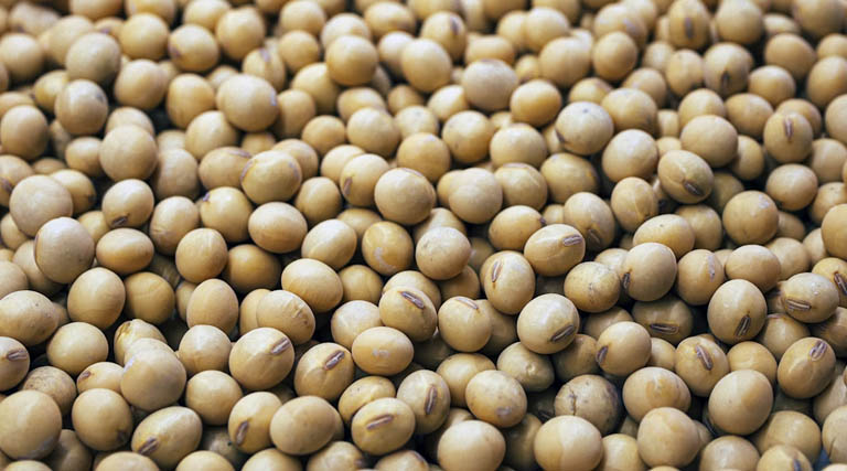 आज का सोयाबीन मंडी रेट (15 अप्रैल 2026)