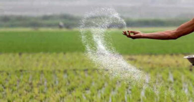 किसानों को बड़ी सुविधा: खाद के लिए लंबी लाइन से छुटकारा, ऐसे मोबाइल से बुक करें ई-टोकन