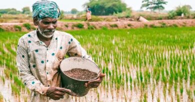 सिंगरौली में ई-विकास प्रणाली के उल्लंघन पर दो विक्रेताओं को नोटिस