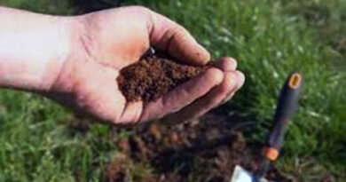 मध्यप्रदेश: बड़वानी में किसानों के लिए मिट्टी परीक्षण प्रशिक्षण आयोजित, फसल गुणवत्ता सुधार पर फोकस 