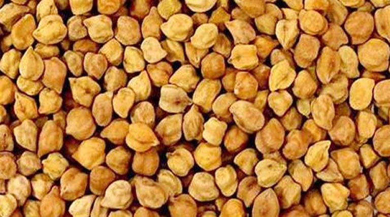 मध्यप्रदेश: चना-मसूर खरीदी के लिए गुणवत्ता मानक तय, किसानों से साफ उपज लाने की अपील  