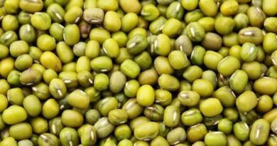 ग्वालियर के किसान मलकीत सिंह की प्रेरक पहल