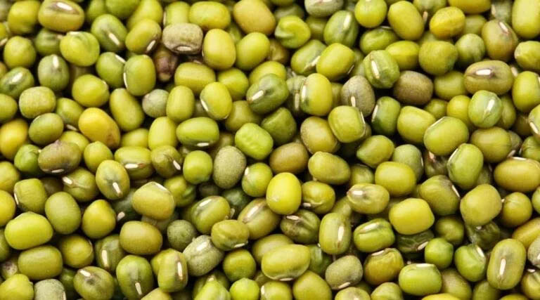 ग्वालियर के किसान मलकीत सिंह की प्रेरक पहल