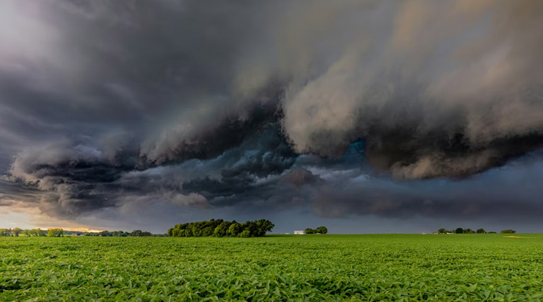 MP Weather: मध्यप्रदेश के 8 जिलों में ऑरेंज अलर्ट जारी, तेज हवाओं और ओलावृष्टि की संभावना