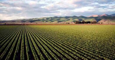 मध्यप्रदेश: खरीफ 2026 के लिए ‘नवाचार प्रबंधन अभियान’ शुरू, किसानों को मिलेगी नई तकनीक  