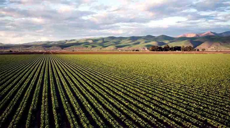 मध्यप्रदेश: खरीफ 2026 के लिए ‘नवाचार प्रबंधन अभियान’ शुरू, किसानों को मिलेगी नई तकनीक  