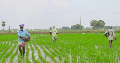 खरगोन: ई-विकास प्रणाली की अनदेखी पर सख्त कार्रवाई