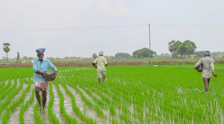 खरगोन: ई-विकास प्रणाली की अनदेखी पर सख्त कार्रवाई