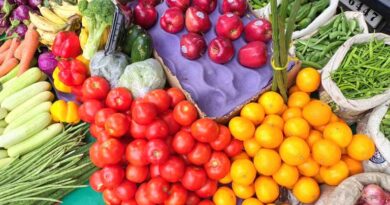 अशोकनगर: उद्यानिकी विभाग की योजनाओं का लाभ लें किसान