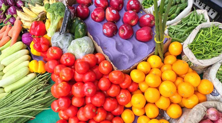 अशोकनगर: उद्यानिकी विभाग की योजनाओं का लाभ लें किसान