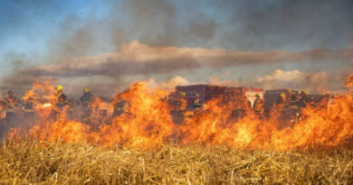 नरवाई जलाने पर छिंदवाड़ा जिले में 14 एफआईआर दर्ज    