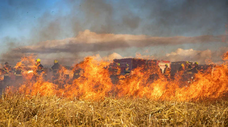 नरवाई जलाने पर छिंदवाड़ा जिले में 14 एफआईआर दर्ज    