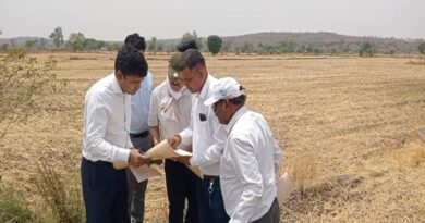 रायसेन: कलेक्टर ने खेतों में पहुंचकर किया फसल सत्यापन, गेहूं उपार्जन में समस्या होगी दूर
