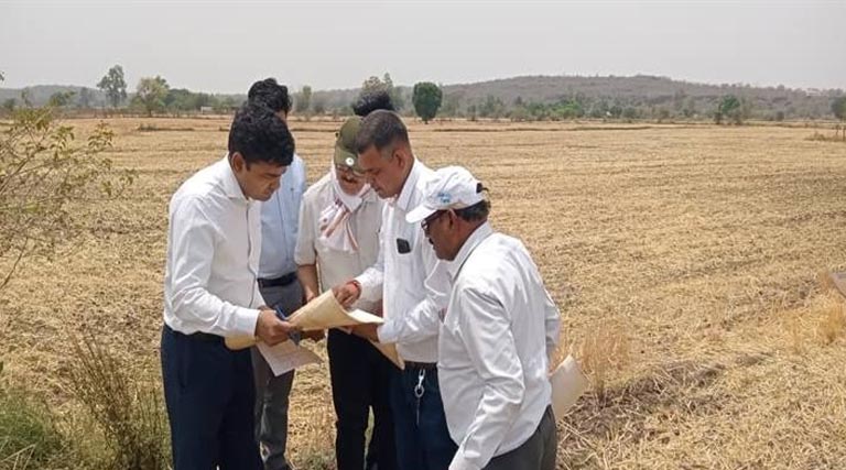 रायसेन: कलेक्टर ने खेतों में पहुंचकर किया फसल सत्यापन, गेहूं उपार्जन में समस्या होगी दूर