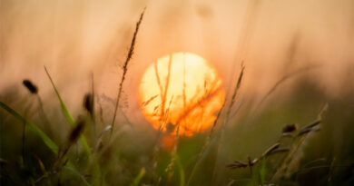 IMD अलर्ट: देशभर में बदला मौसम का मिजाज, पूर्वी और मध्य भारत में लू का असर, उत्तर-पूर्व में बारिश और ओलावृष्टि की चेतावनी