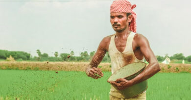 नर्मदापुरम: ई-विकास पोर्टल नियम तोड़ने पर 10 लाइसेंस निलंबित, 22 को नोटिस