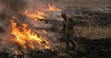 मंदसौर: 16 किसानों से नरवाई जलाने पर हज़ारों का अर्थ दंड वसूला