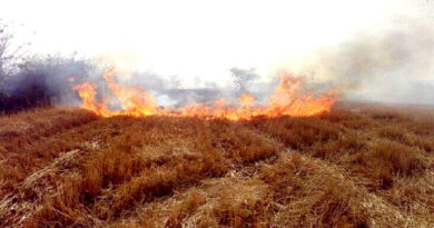 रतलाम जिले के किसानों से अपील: नरवाई न जलाएं