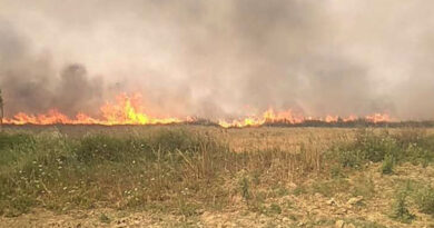 नरवाई जलाने पर छिंदवाड़ा जिले में 60 एफआईआर दर्ज कराई