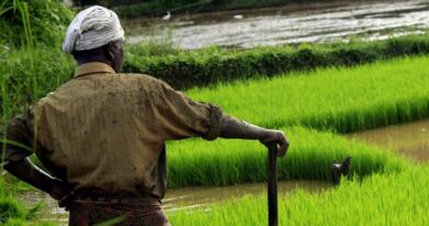 राजस्थान ‘ग्राम–2026’ की तैयारी तेज, 23 अप्रैल को दिल्ली में एग्रीटेक रोडशो में जुटेंगे विशेषज्ञ