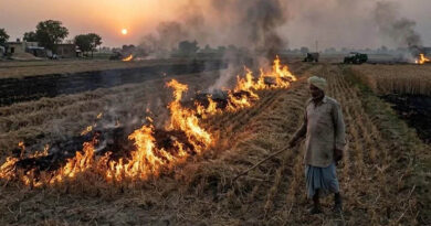 नरवाई जलाने पर छिंदवाड़ा जिले में चार एफआईआर दर्ज  