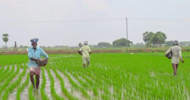 ई-विकास पोर्टल से ही उर्वरक उठाव करने की अपील