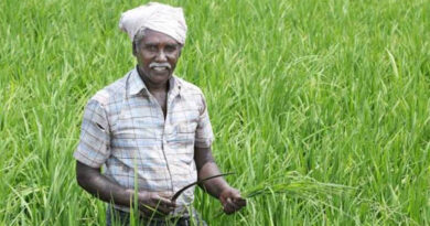 आत्मा योजना: भोपाल में श्रेष्ठ किसानों को मिलेगा सम्मान, 15 मई तक आवेदन आमंत्रित