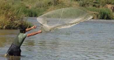 मत्स्य पालन क्षेत्र ने पकड़ी रफ्तार, भारत का समुद्री निर्यात 72 हजार करोड़ के पार पहुंचा  