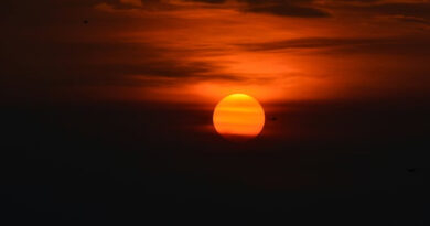 मध्यप्रदेश में गर्मी का असर तेज, कई जिलों में लू का अलर्ट; खजुराहो-नर्मदापुरम में पारा 43°C तक पहुंचा