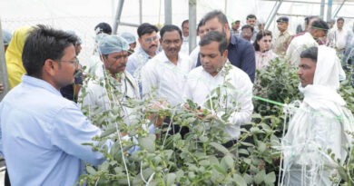 छिंदवाड़ा कलेक्टर ने ब्लू बेरी की खेती का किया अवलोकन