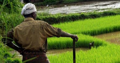 27 अप्रैल को कृषि आदान व्यापारियों का एक दिवसीय देशव्यापी बंद