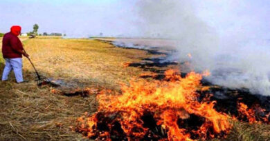 मध्यप्रदेश: नीमच में नरवाई जलाने पर सख्ती, 5 किसानों पर 5-5 हजार का अर्थदंड लगाया गया