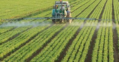 मध्यप्रदेश: आधुनिक खेती का कमाल, सेंसर आधारित सिस्टम से किसान की आय और उत्पादन दोनों बढ़े  