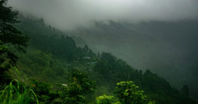 MP Weather Today: मौसम के बदलाव से बढ़ी चिंता,  आज अलीराजपुर-झाबुआ-रतलाम समेत इन जिलों में आंधी-बारिश व ओलों का अलर्ट